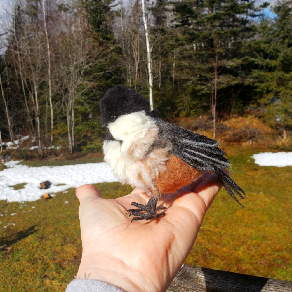 Needle felted Chickadee, wool, fiber  sculpture